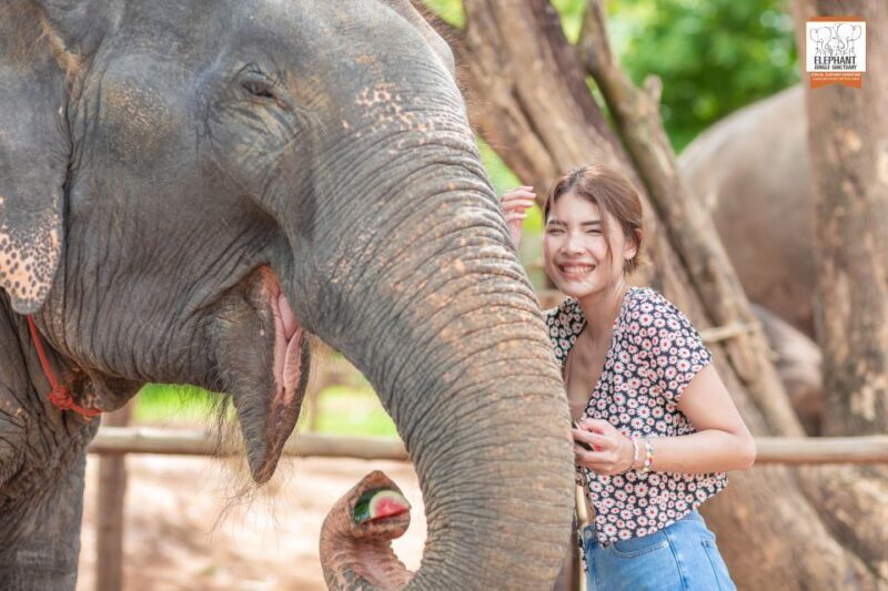 Phuket: Elephant Jungle Sanctuary Ethical Feeding Experience - Who Will Love This Experience?