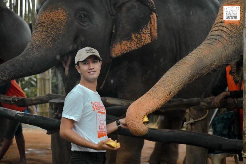phuket-elephant-jungle-sanctuary-ethical-feeding-experience
