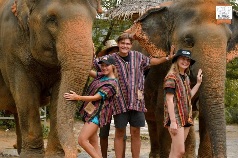 phuket-elephant-jungle-sanctuary-ethical-feeding-experience