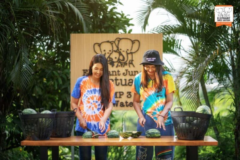 Phuket: Elephant Jungle Sanctuary 'Watch Me' Experience - Final Thoughts