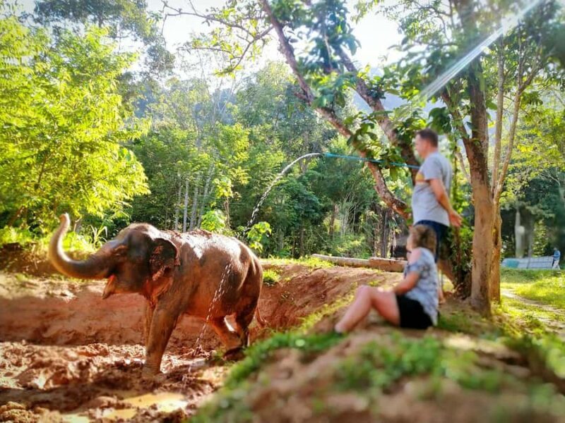 Phuket Elephant Nature Reserve: 90-Minute Elephant Adventure - Why We Love This Ethical Elephant Experience