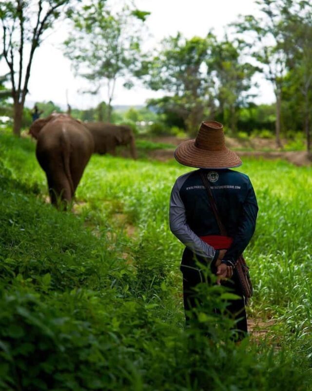 Phuket Elephant Nature Reserve: 90-Minute Elephant Adventure - FAQs