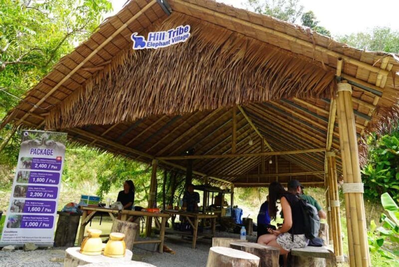 Phuket: Elephant Sanctuary Guided Tour with Hotel Transfers - Key Points