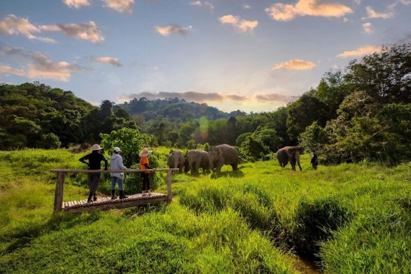 phuket-elephant-sanctuary-guided-tour-with-hotel-transfers