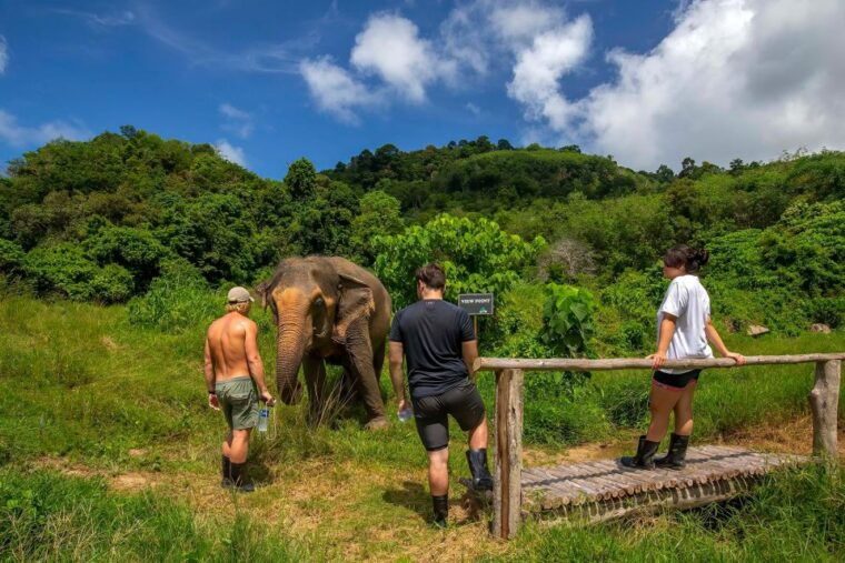 phuket-elephant-sanctuary-guided-tour-with-hotel-transfers