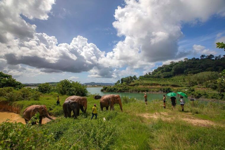 phuket-elephant-sanctuary-guided-tour-with-hotel-transfers