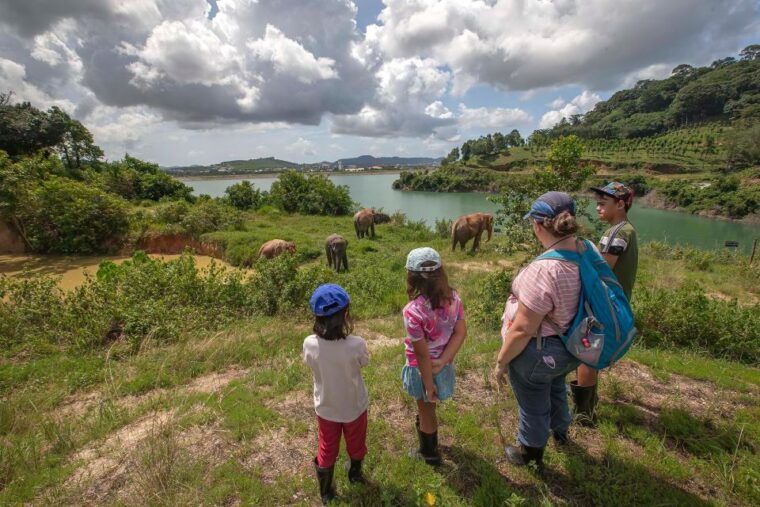 phuket-elephant-sanctuary-guided-tour-with-hotel-transfers