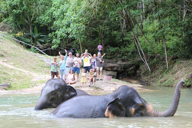 Phuket Elephant Sanctuary Observation and Cooking Class - The Sanctuary: Observing Elephants in Their Element