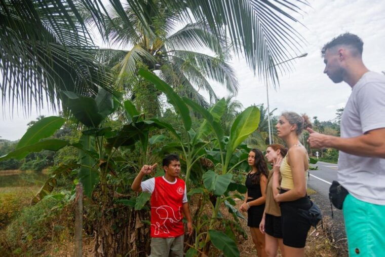 phuket-elephant-sanctuary-small-group-tour-in-khao-lak
