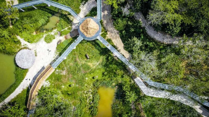 Phuket: Elephant Sanctuary Tour - Canopy Walk & Feeding - What Do Other Visitors Say?