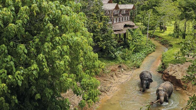 Phuket: Elephant Sanctuary Tour - Canopy Walk & Meal - Ethical and Educational Focus