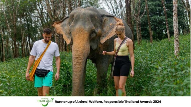 Phuket: Elephant Sanctuary Tour, Cooking Class & Lunch - Key Points