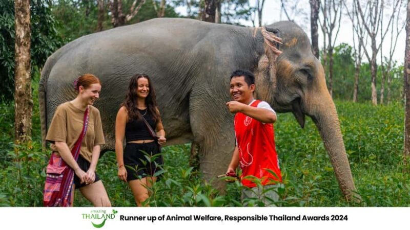 Phuket: Elephant Sanctuary Tour, Cooking Class & Lunch - Introduction: What to Expect from This Tour