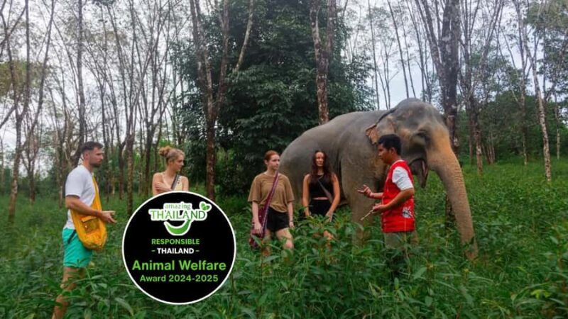 Phuket: Elephant Sanctuary Tour, Cooking Class & Lunch - Authentic Experiences and Honest Insights