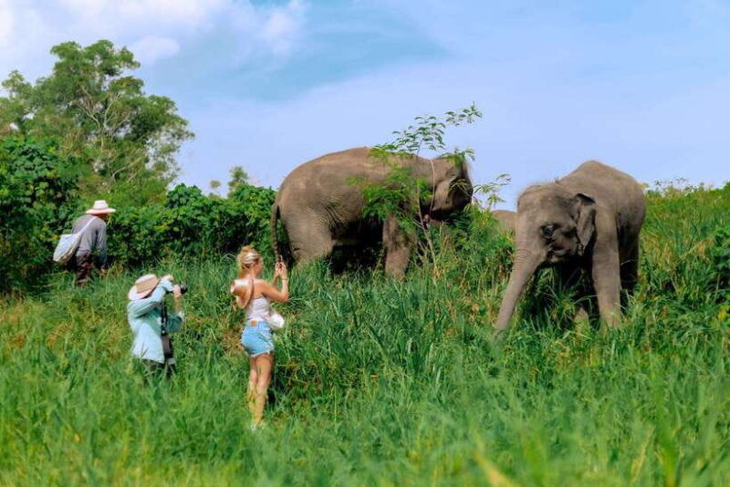 phuket-elephant-sanctuary-tour-with-pickup-optional-lunch