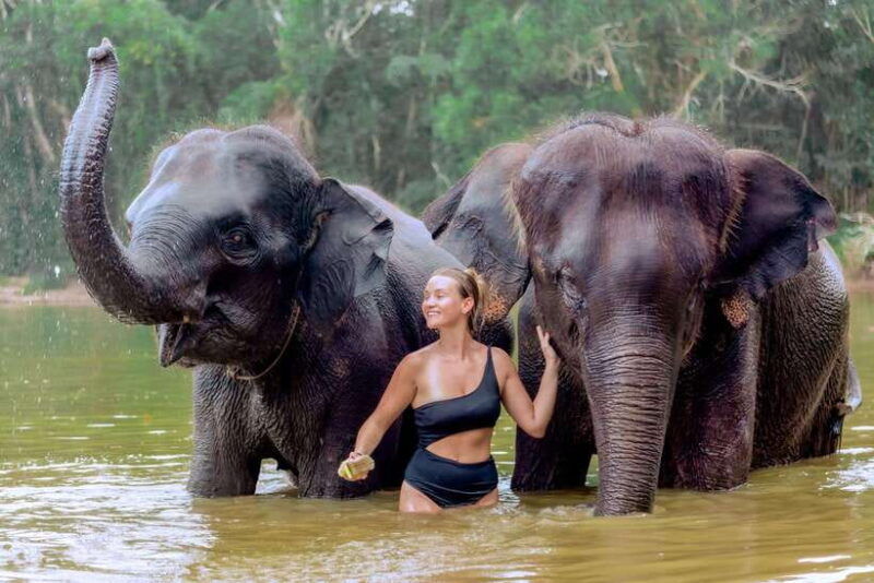 phuket-elephant-sanctuary-tour-with-pickup-optional-lunch