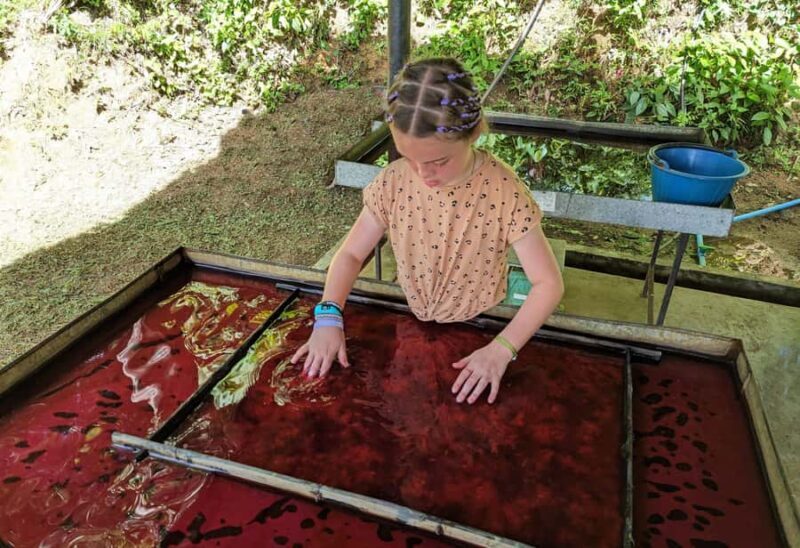 Phuket: Elephant Sanctuary Visit - Cooking Class & Lunch - Who Will Love This Tour?