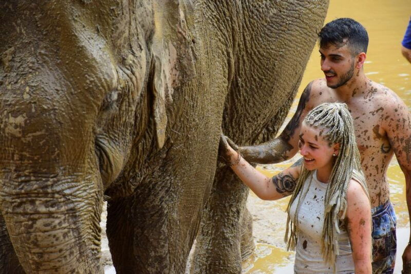 phuket-elephant-save-care-program-tour