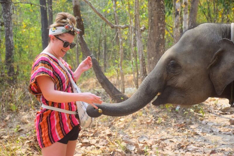 phuket-elephant-save-care-program-tour