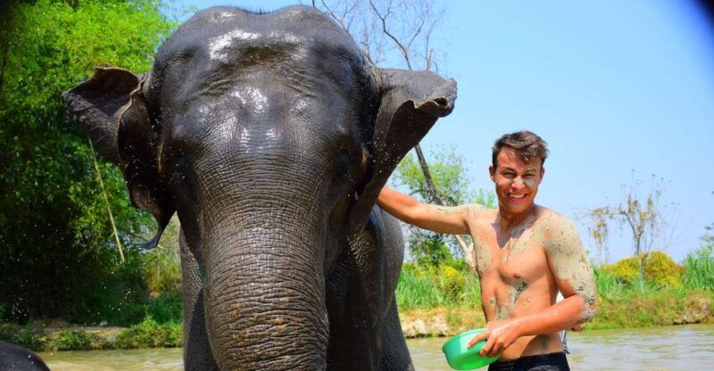 phuket-elephant-save-care-program-tour