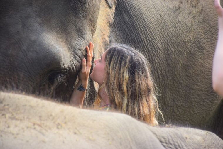phuket-elephant-save-care-program-tour