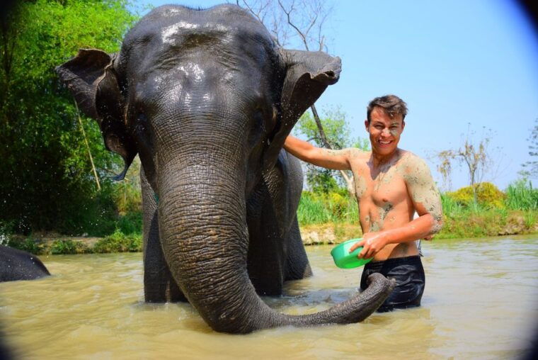 phuket-elephant-save-care-program-tour