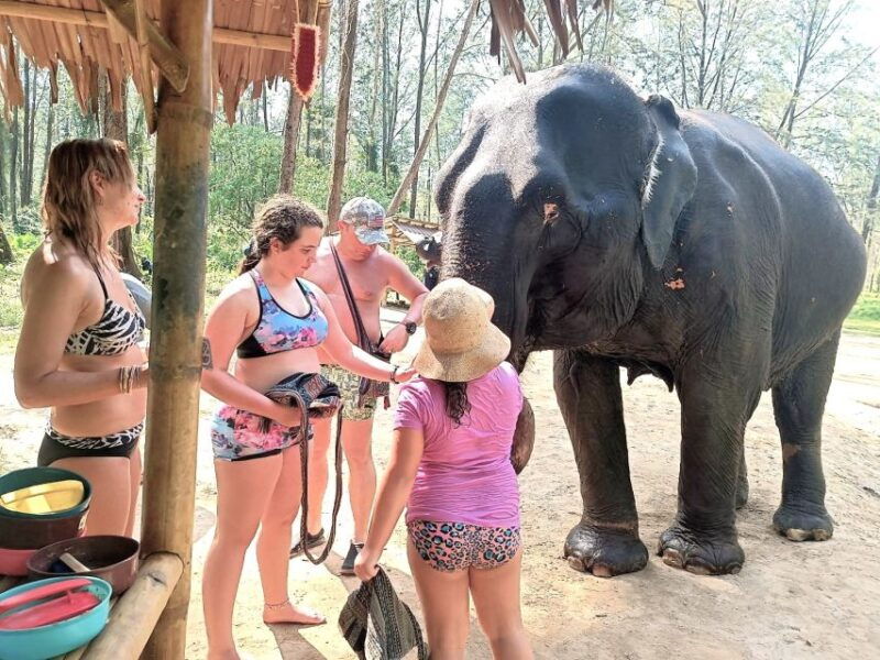 phuket-elephant-sea-turtle-conservation-tour-with-rafting