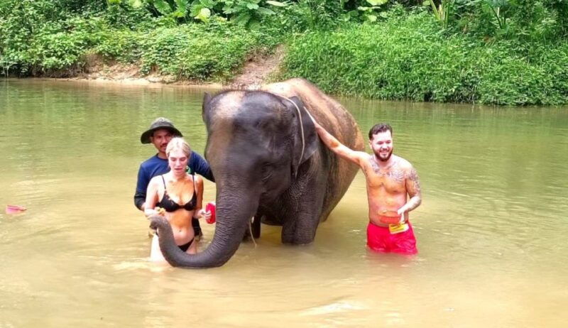 phuket-elephant-sea-turtle-conservation-tour-with-rafting