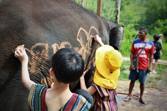 Phuket Ethical Elephant Care Sanctuary Nai Dee Half-Day or 2-Hour - A Closer Look at the Experience