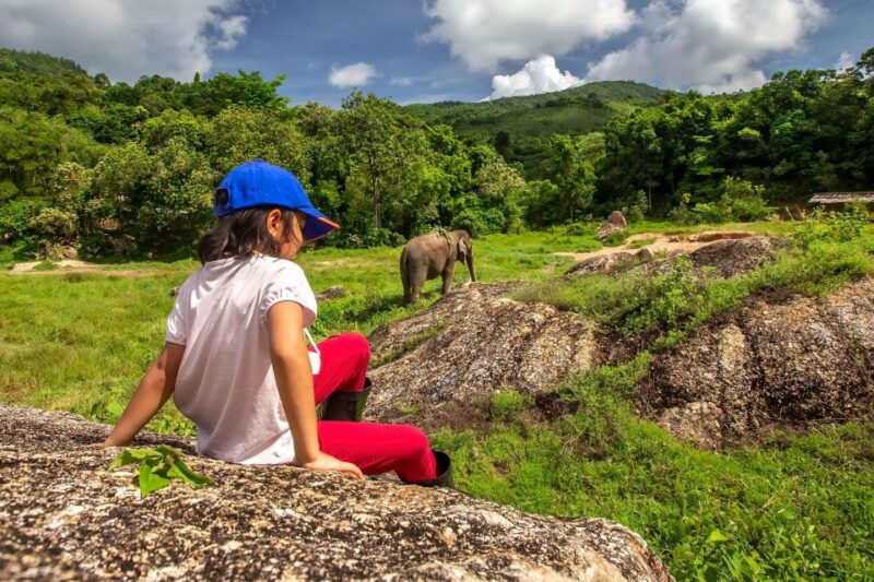 phuket-ethical-elephant-nature-park-visit-with-lunch