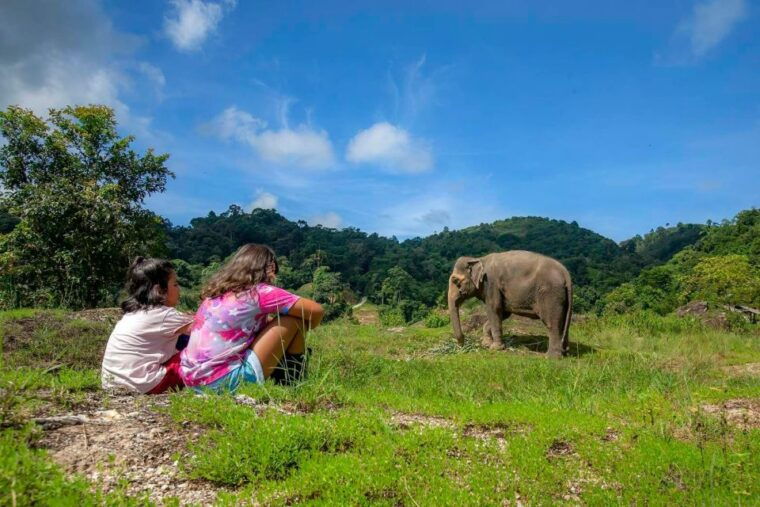 phuket-ethical-elephant-nature-park-visit-with-lunch