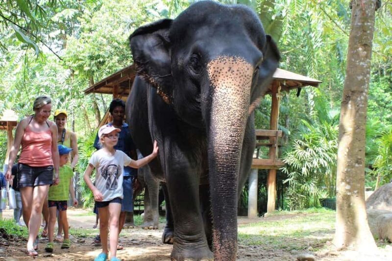 Phuket: Ethical Elephant Sanctuary Experience - Transportation, Group Size, and Practicalities