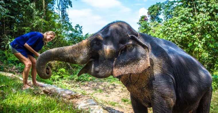 phuket-ethical-elephant-sanctuary-experience