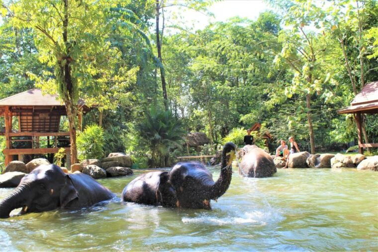 phuket-ethical-elephant-sanctuary-experience