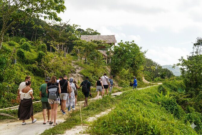 Phuket Ethical Elephant Sanctuary Guided Tour and Hotel Transfers - Authentic Experiences and Review Insights