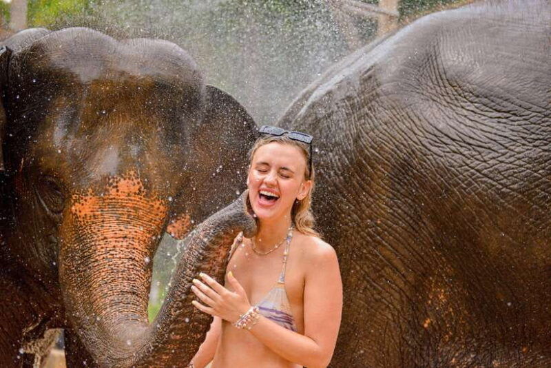 phuket-feed-and-rain-shower-at-elephant-camp-with-seaview
