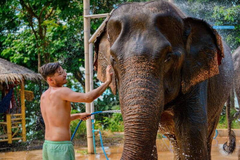 phuket-feed-and-rain-shower-at-elephant-camp-with-seaview