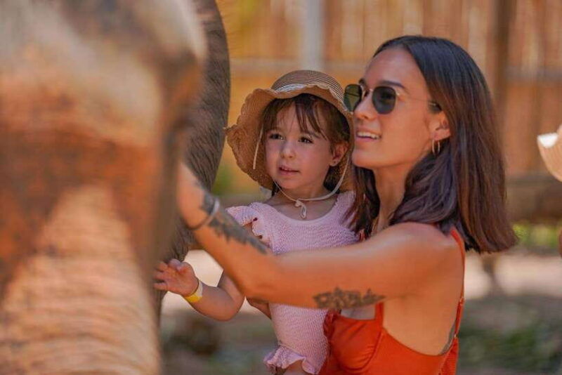 phuket-feed-and-rain-shower-at-elephant-camp-with-seaview