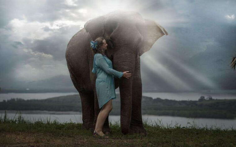 phuket-feed-and-rain-shower-at-elephant-camp-with-seaview