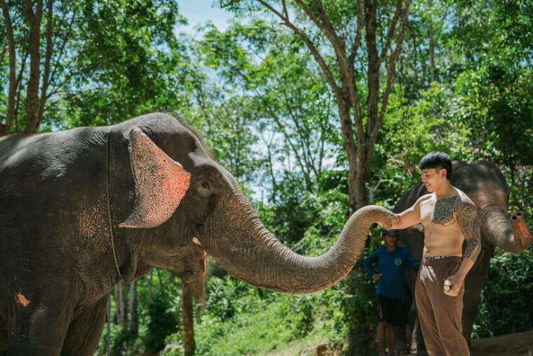 phuket-feeding-elephants-at-phuket-elephant-care