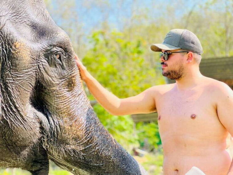 phuket-feeding-elephants-at-phuket-elephant-care