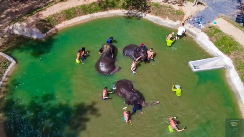 Phuket: Full-Day Elephant Explorer at Phuket Elephant Care - The Sum Up