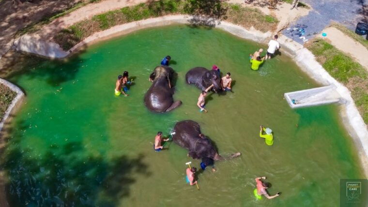 phuket-full-day-elephant-explorer-at-phuket-elephant-care