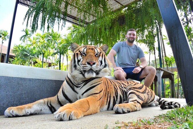 Phuket: Full-Day Tour with Phuket town, Temples, and Adventure - Adventure & Wildlife Encounters