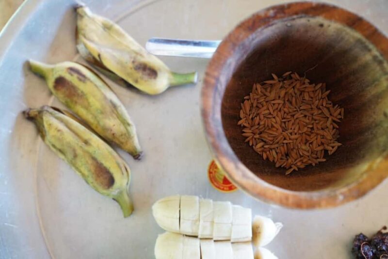 Phuket: Guide Tour to Patong Elephant Sanctuary - What to Expect from the Patong Elephant Sanctuary Tour