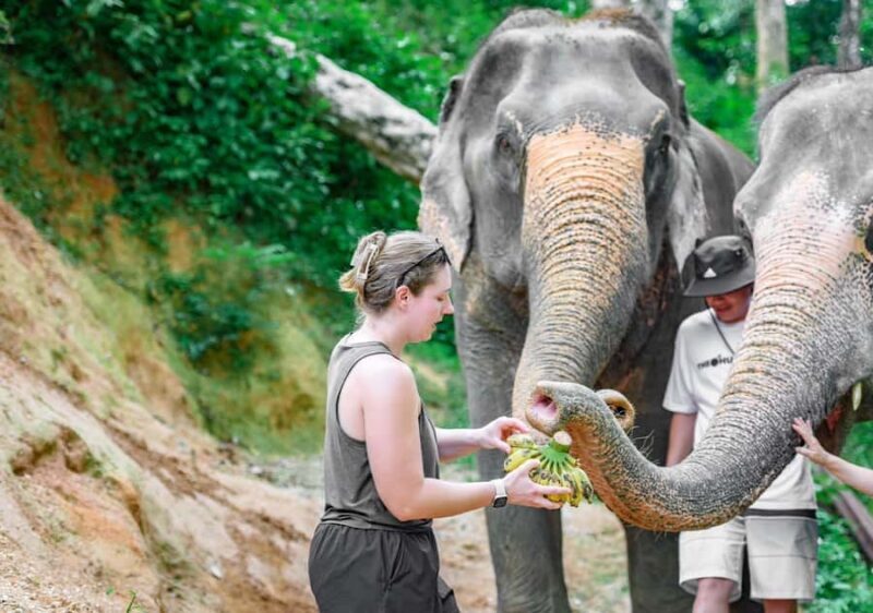 Phuket: Guided Tour ATV Ride & Elephant Feeding & City Trip - Exploring Phuket’s Natural Beauty and Scenic Views