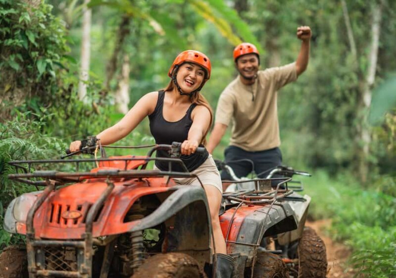 Phuket: Guided Tour ATV Ride & Elephant Feeding & City Trip - How This Tour Compares