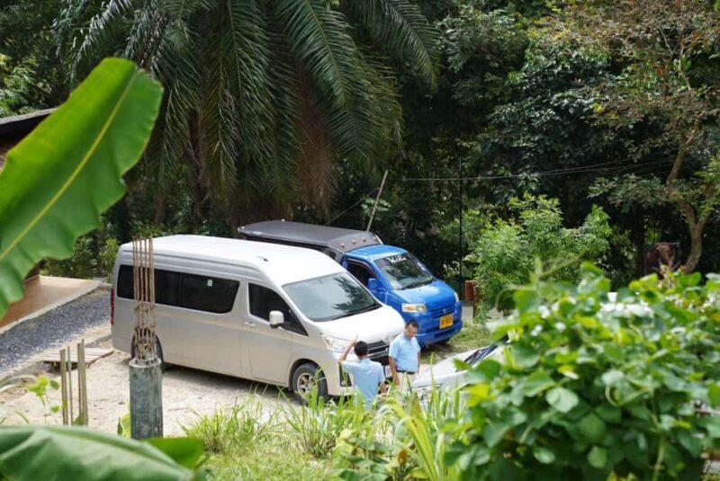 Phuket : Guided Tour to Elephant Sanctuary with Transfers - The Experience’s Strengths and Considerations