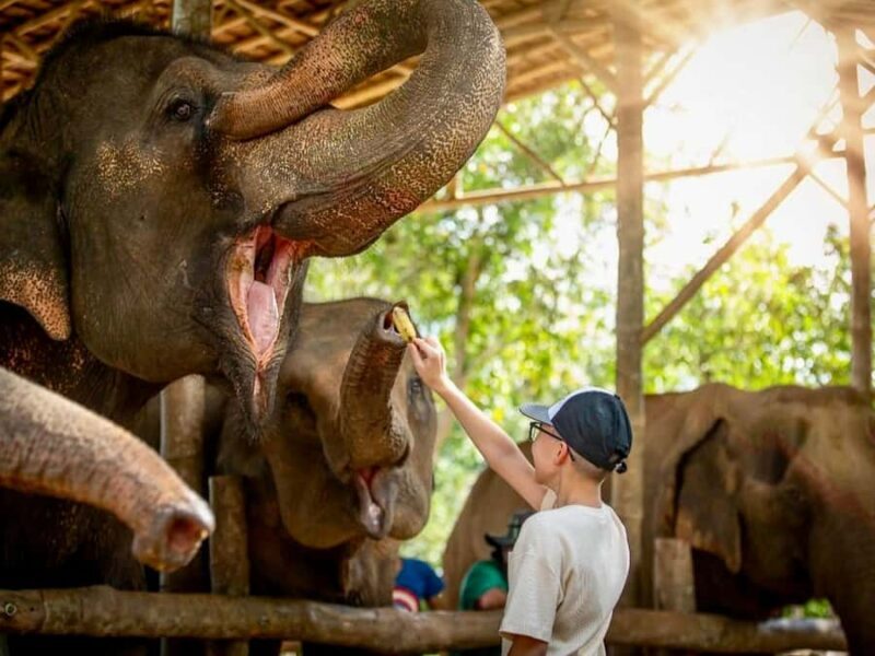 Phuket: Guided Tour with ATV Ride and Elephant Sanctuary - The Temples of Phang Nga: Cultural Highlights in Depth