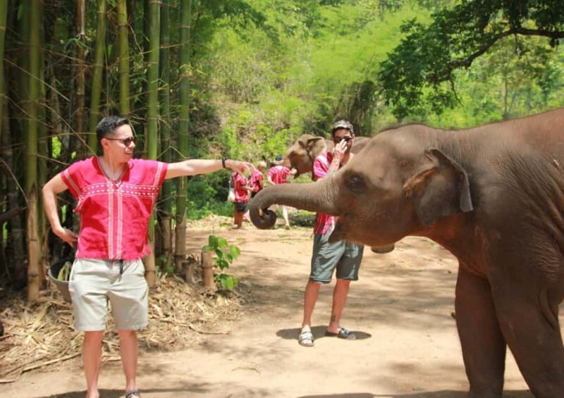 Phuket: Guided Tour with ATV Ride and Elephant Sanctuary - Practical Elements: Transport, Food, and Timing